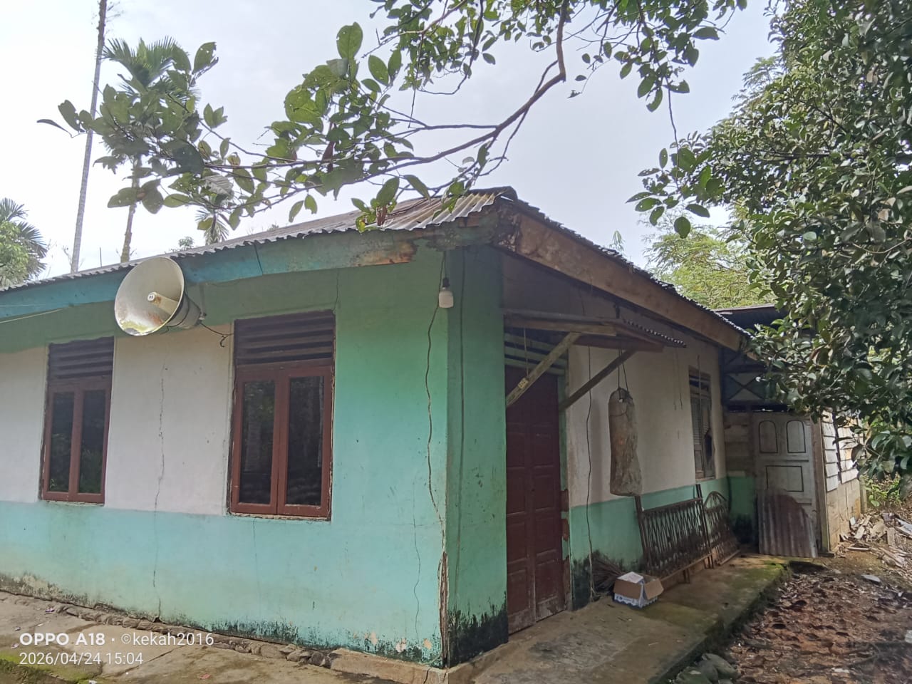 Samping Belakang
